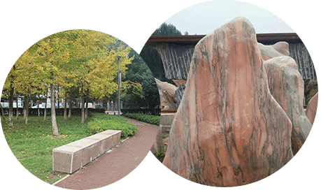 品質(zhì)優(yōu)良 經(jīng)濟(jì)實惠